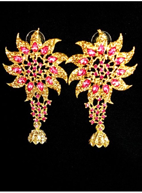 Fashion Earrings